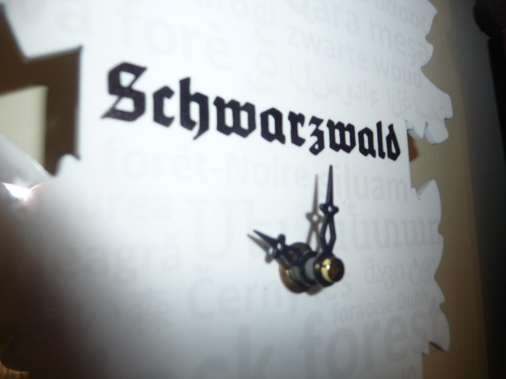 Schwarzwald Villa Gengenbach Εξωτερικό φωτογραφία