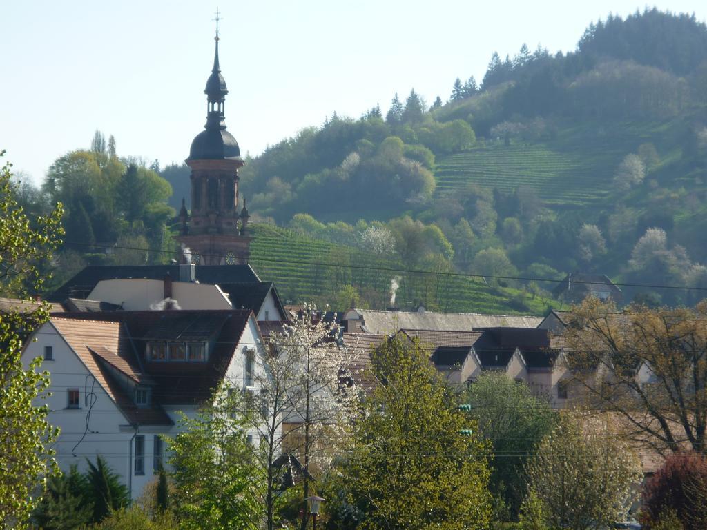 Schwarzwald Villa Gengenbach Εξωτερικό φωτογραφία