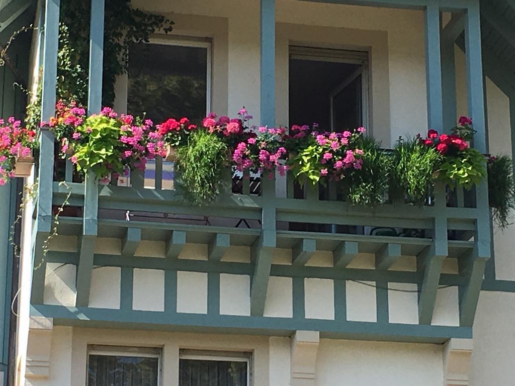 Schwarzwald Villa Gengenbach Εξωτερικό φωτογραφία